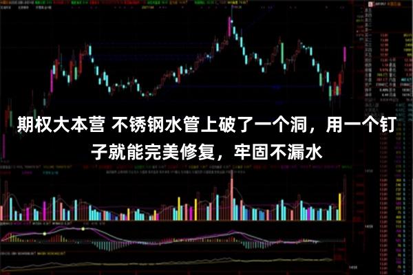 期权大本营 不锈钢水管上破了一个洞，用一个钉子就能完美修复，牢固不漏水