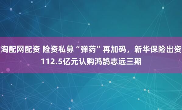 淘配网配资 险资私募“弹药”再加码，新华保险出资112.5亿元认购鸿鹄志远三期