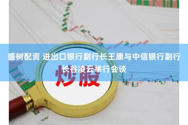 盛树配资 进出口银行副行长王康与中信银行副行长谷凌云举行会谈