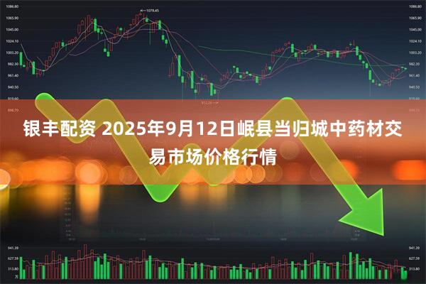 银丰配资 2025年9月12日岷县当归城中药材交易市场价格行情