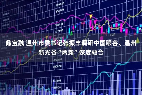 鼎宝融 温州市委书记张振丰调研中国眼谷、温州新光谷“两新”深度融合