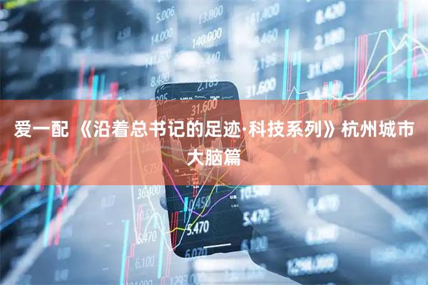 爱一配 《沿着总书记的足迹·科技系列》杭州城市大脑篇